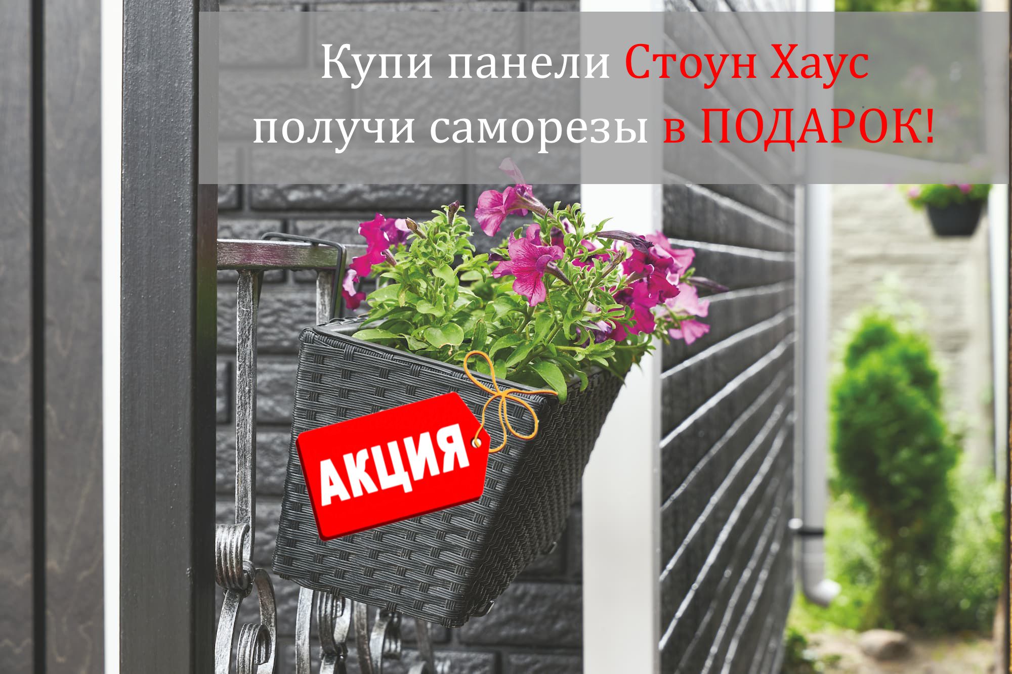 1107.jpg 1107.jpg